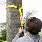 TRX Move